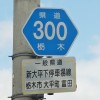 栃木県道300号線